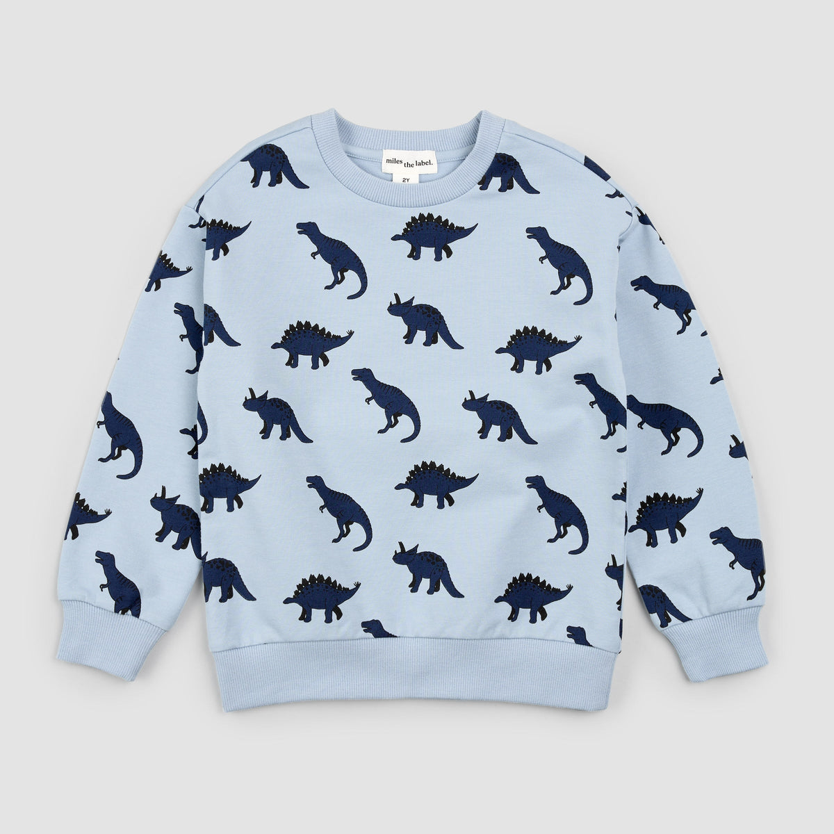 Dino Print on Dusty Blue Sweatshirt