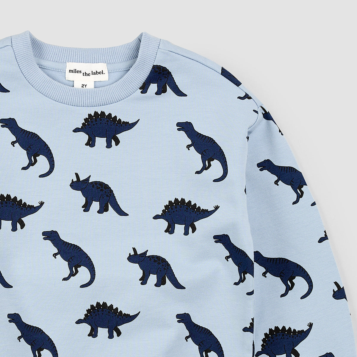 Dino Print on Dusty Blue Sweatshirt