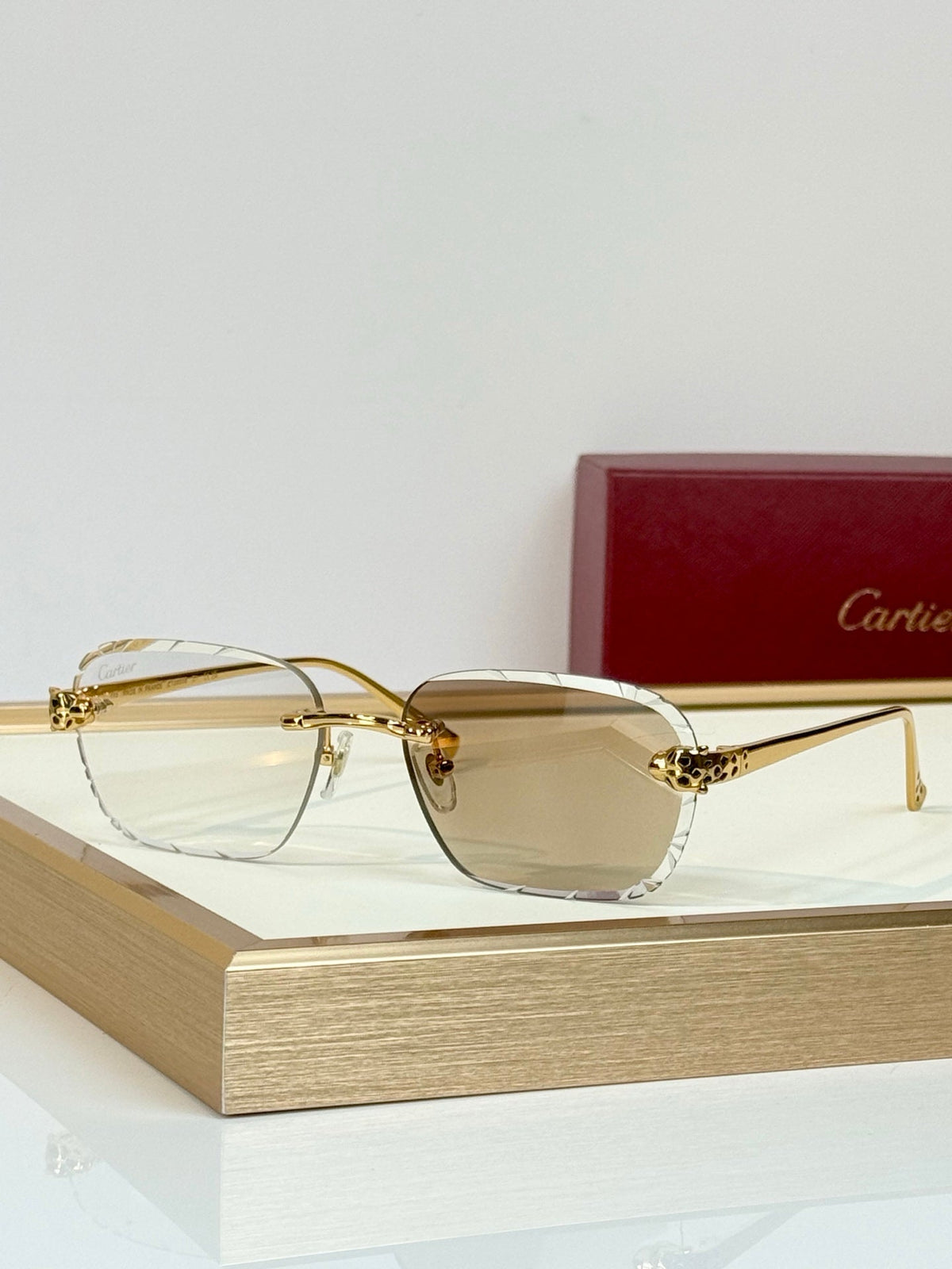Cartier CT7450S Sunglasses